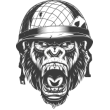 TTB '20