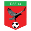 DSS '14