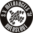 SV MEERVOGELS'31