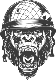 TTB '20