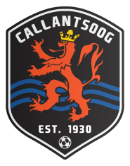 VV CALLANTSOOG